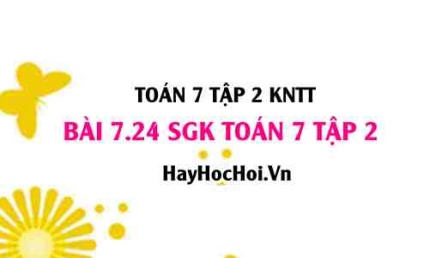 Bài 7.24 SGK Toán 7 tập 2 Kết nối tri thức